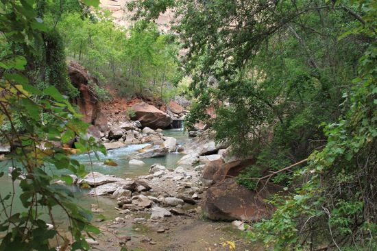 An manchen Orten könnte man ewig verweilen.
Dieses hier ist mein absolutes Lieblingsfoto des Tages.
