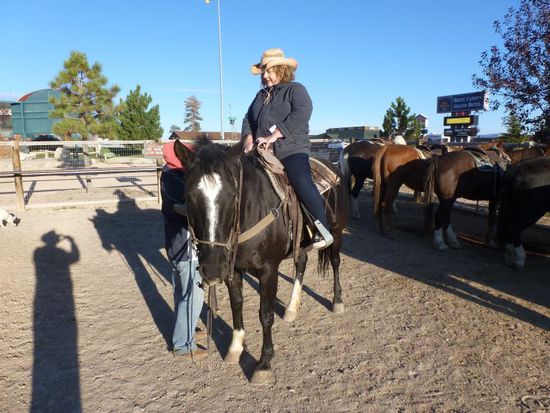 Was für ein tolles Gefühl hoch zu Roß.
Mein Pferd hieß Alice und Bernhard ritt auf Boringo.
Die anderen Pferde wurden am Gatter angebunden, 
wir waren tatsächlich die einzigen Reitwilligen heute morgen, also ganz exclusiv mit Privatguide.
Als die Steigbügel auf mich eingestellt waren und der junge Cowboy bei Bernhard noch einstellte ging mein Pferd mit mir obendrauf von alleine wieder in die Reihe zu den anderen Pferden ans Gatter.
Leider ließ es sich nicht bewegen wieder rauszugehen.
Alice hatte offenbar nicht die geringste Lust die dicke Frau da oben durch die Landschaft zu transportieren.
Als bei Bernhard die Steigbügel eingestellt waren ging auch sein Pferd in die Reihe am Gatter.
Das muss ziemlich doof ausgesehen haben mit der langen Reihe von Pferden nebeneinander und auf zwei davon sitzen zwei völlig nichtsahnende Menschen mit Cowboyhüten.
Dann kam unser Guide, ein echter Cowboy und nachdem er die Pferde mit uns drauf wieder aus der Reihe hervorgezerrt hatte, 
ging es auch schon los.
