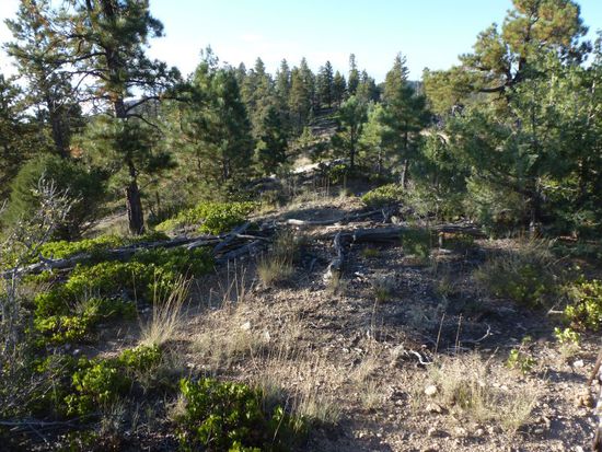 Wäre Little Red Riding Hood (Rotkäppchen) um die Ecke gekommen, es hätte uns vermutlich nicht das geringste bisschen gewundert.