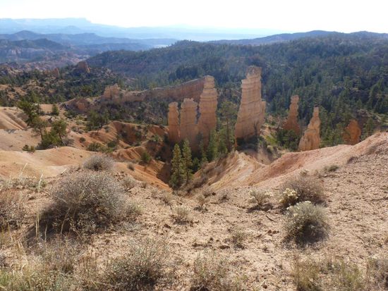 Nach einiger Zeit kamen wir direkt an den Rand des Bryce Canyon und wir ritten einige Zeit direkt am Abgrund entlang.
Mannomann - was für Wahnsinnsbilder wir da zu sehen bekamen, 
oftmals ritten wir einfach nur stumm und schauten auf die Natur.