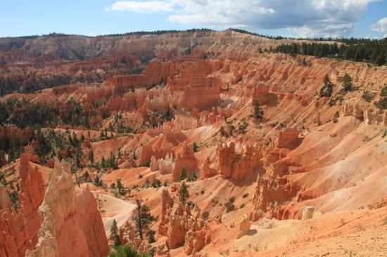 Wir checkten schnell im Hotel aus und luden das Auto.
Dann fuhren wir in den Bryce Canyon hinein,
es gab hier verschiedene Viewpoints die wir sehen wollten und auch ein kleines bisschen wandern wollten wir.
Der erste Punkt den wir ansteuerten war der Sunrise Point.
Und schon wieder mal kam Sprachlosigkeit auf,
was für eine gewaltige Natur - und wir mittendrin.
Ich lasse jetzt einfach mal ein paar Bilder für sich sprechen.