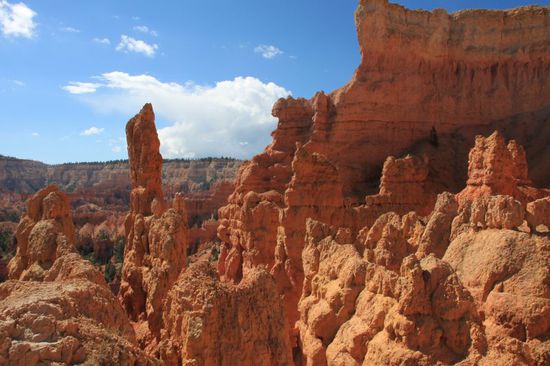 Hinter jeder Kurve des Trails bot sich ein anderes Bild.