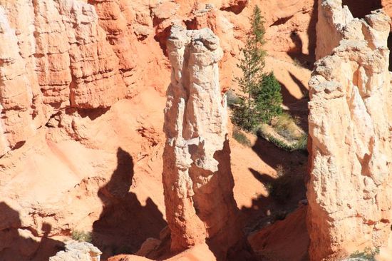 Teilweise stehen nur solche hohen einzelnen Felstürme.