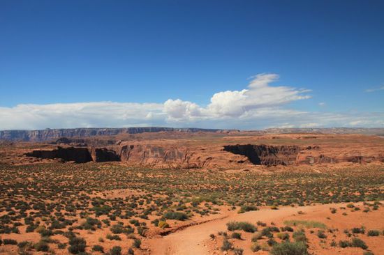 Im Hintergrund kann man bereits die Canyonschlucht erahnen, im Vordergrund sieht man den endlos langen Weg dahin.
Und das mal wieder bei erbarmungsloser Hitze!