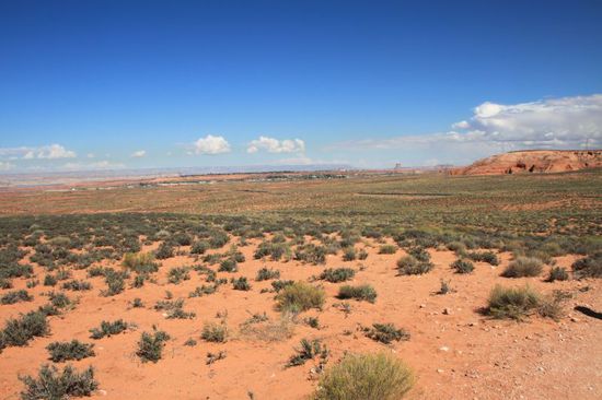 Der beschwerliche Weg zurück ist in der Wüstenhitze mal wieder ein anstrengendes Unternehmen.
Aber wir sehen dass alle anderen Leute auch mit hochrotem Kopf aufwärts stapfen und jeder so seine Schwierigkeiten hat.
Jetzt ist schon späte Mittagszeit und wir gehen in Page zu "Jack in the Box" - die haben einfach die besten Burger die wir je gegessen haben und praktischerweise sind die genau neben unserem Hotel.
Nach dem Mittagessen gehen wir in den Pool und den Hot Tub unseres Hotels, wir wollen uns heute mittag mal entspannen und es uns gutgehen lassen.
Jedoch kommt bald eine große dunkle Wolke immer näher auf uns zu, man kann sehen dass es in der Ferne heftig regnet und ein kühler Wind kommt auf.
Na gut, sonnen ist jetzt wohl nicht mehr drin.
Dann duschen wir uns halt und wollen hinterher in den Super Walmart auf der gegenüberliegenden Straßenseite.
Ich kann euch sagen, das ist vielleicht ein Zauberland für shoppingwütige Frauen!
Es gibt Wranlger Jeans für umgerechnet 10 Euro.
Natürlich finde ich noch etliche andere Dinge und bin nur schwer wieder aus dem Laden rauszubringen.
Ich könnte hier locker eine ganze Nacht bleiben und alles durchstöbern.
Aber wir wollen ja auch noch was zu Abend essen.
Weil uns die Cowboy Atmosphäre gefällt, gehen wir ins "Ken`s Old West" einem original Countryschuppen mit Live Musik und heftig dicken Steaks, richtig zünftig serviert mit Baked Beans.
Eine Salatbar ist aufgebaut auf einem kleinen Planwagen.
Leider hatten wir an diesem Abend die Kamera vergessen und so gibt es keine Fotos.
So - morgen fahren wir zum Grand Canyon.
Schade, die Zeit in Page hat uns hervorragend gefallen und wir wären gerne länger geblieben.
Aber es wird ja bestimmt ein nächstes Mal geben, soviel ist sicher.