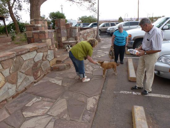Von meinem trocken Brot ist er nicht sonderlich begeistert.
Aber süß und knuffig war er trotzdem.