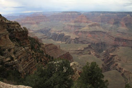 Als wir am zweiten View Point aus dem Bus stiegen fielen einige dicke und eisig kalte Regentropfen herab, wir stiegen wieder in den Bus und überlegten kurz.
Aber jetzt sind wir nun doch mal am Grand Canyon, da können uns 
doch keine paar Regentropfen schocken.
Wir stiegen wieder aus dem Bus und der Shuttle fuhr davon.
Kaum war er um die Ecke gebogen, da goß es wie aus Kübeln und der Sturm blies uns die Regentropfen ins Gesicht dass es war wie tausend Nadeln.
Wir rannten ins Geology Museum, wie alle anderen Leute auch.
Trotzdem waren wir nass und uns war kalt.
Wir aßen unser mitgebrachtes Obst und beratschlagten.
Es waren von allen View Points ohnehin nur diese beiden offen, der Busfahrer hatte uns erzählt dass dieses Unwetter alles gestern schon so verwüstet hat dass die anderen Aussichtspunkte vorübergehend geschlossen werden mussten.
Nun hatte uns wohl das Glück mit dem Wetter verlassen.
Wir beschlossen traurig umzukehren - es wird wohl nichts mehr mit einer langen Wanderung in den Grand Canyon.
Wie doof jetzt - wir saßen traurig und bedröppelt da.