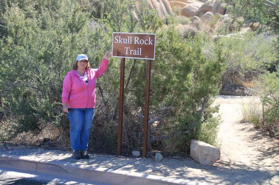 Als erstes gehen wir den Skull Rock Trail - denn den Totenschädel-Felsen wollen wir finden und fotografieren.