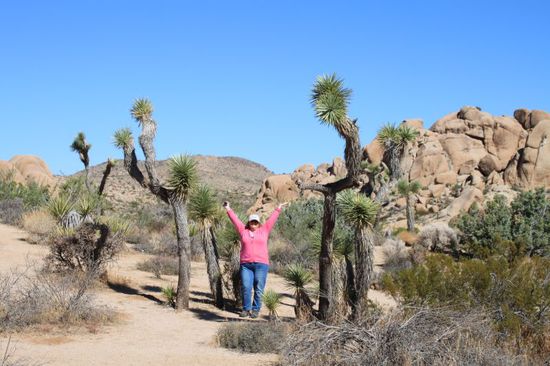 Juuhuuu - vielen schöne Joshua Trees - ich mag diese Bäume.