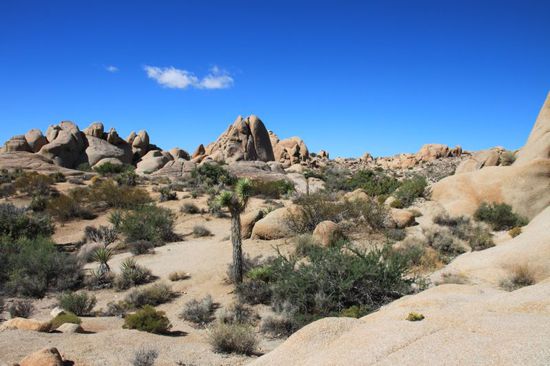 Manchmal sieht es ein bisschen aus wie auf dem Mond.