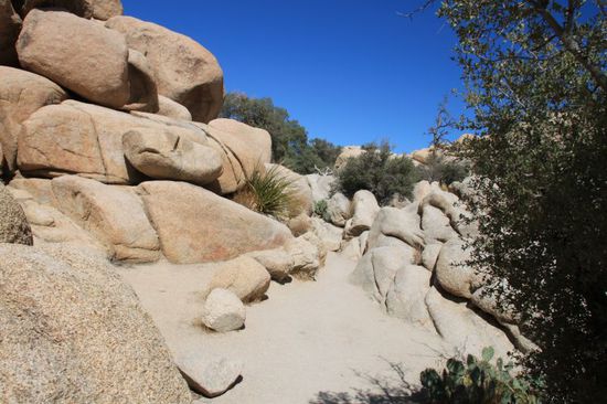 Dann laufen wir noch einen 1,1 Meilen langen Weg zum Barker Dam,
der Weg war jedoch umsonst, denn wegen dem heißen Sommer ist er leer und führt kein Wasser.
Wir laufen wieder zurück, immer auf der Hut vor Klapperschlangen, denn die gibt es hier häufig.