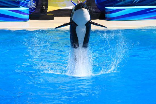 Wir sitzen genau mittig vor dem Becken und können schöne Fotos machen.