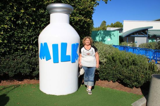 Warum eine riesengroße Milchflasche hier einfach rumsteht konnten wir nicht erkennen, aber sie ist ein tolles Fotomotiv.