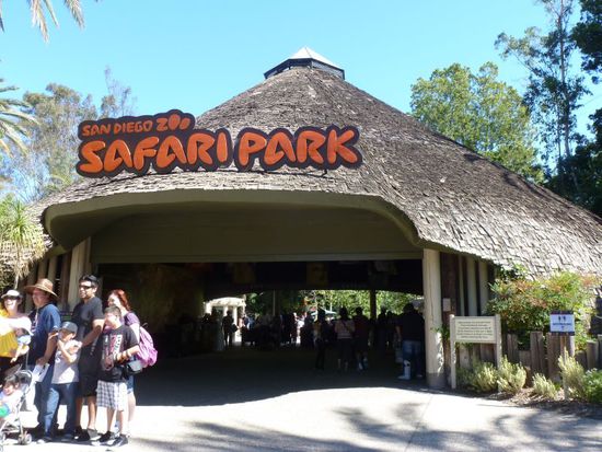 Bevor wir nach Los Angeles fahren, machen wir einen kleinen Schlenker über Escondido, denn dort ist ein toller Safaripark den wir sehen wollen.