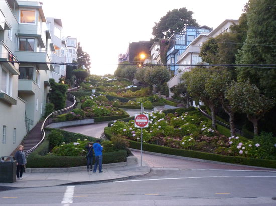 Die Lombard Street.
Links im Bild stehe ich, Bernhard hat fotografiert.
Seitlich sind Treppen für die Fußgänger - auch die sind wir alle noch hochgelaufen.
Ganz oben angekommen ging es wieder abwärts.
Auch das ergab ein tolles Bild.