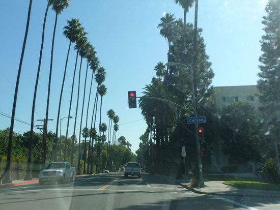 Dann lassen wir unser Auto vorfahren, 
als wir runterkommen steht unser armer Johnny White ganz verloren und ein bisschen dreckig zwischen den ganzen Nobelhobel der Reichen und Schönen.
Wir stecken dem Valet-Parker lässig zwei Dollar zu, springen in unser Auto und los gehts.
Es geht durch die bekannten Palmen-Alleen von Beverly Hills.
Hier auf dem Foto geht es ja noch, aber ansonsten ist der Straßenverkehr in Los Angeles wirklich mörderisch.
Man ist jedes Mal ziemlich mit den Nerven runter bis man endlich sein Ziel erreicht hat - trotz Navi!