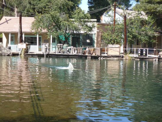 Filmdrehort von Amityville, bekannt aus "Der weiße Hai", hier sieht man die Dreiecksflosse seine Runden drehen.