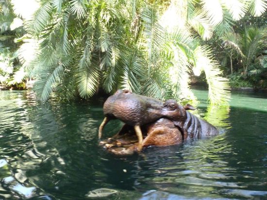 Während der Jungle-Cruise-Fahrt - dauernd taucht etwas anderes aus dem Wasser auf.