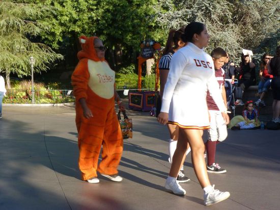 Dann suchen wir uns einen guten Platz für die große Disney Parade, das ist ja doch die Hauptattraktion auf die alle schon sehnlichst warten.
Die Amerikaner sind alle herrlich verkleidet zum Thema Halloween.
Diese etwas beleibte farbige Dame kam uns bei knapp 40 Grad im Plüsch-Tigger-Kostüm entgegen.