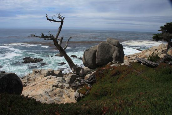 Nochmal eine andere Aussicht am Ghost Tree View Point