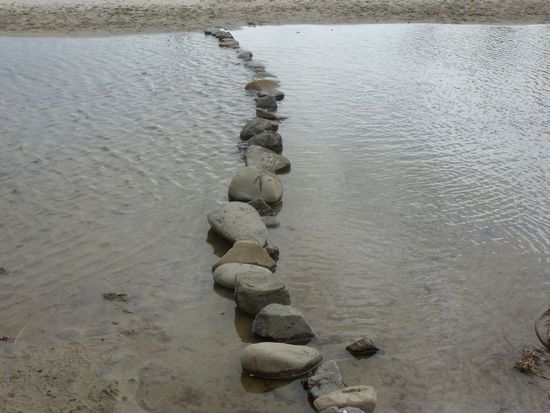Rückweg zum Auto - wir haben noch eine weite Strecke vor uns.
Ach, hier ist es so schön - aber die Zeit, die Zeit!