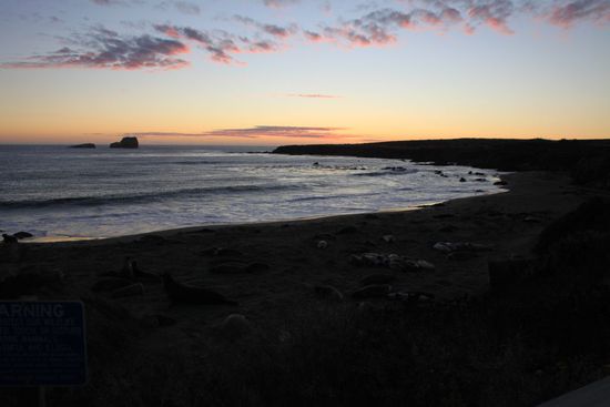 Wir verlassen diese Stelle als wir schon fast nichts mehr sehen können.
Müde, aber sehr glücklich haben wir jetzt noch über 100 km Fahrt bis zu unserem Hotel in Pismo Beach vor uns.
Es ist schon spät als wir ankommen.