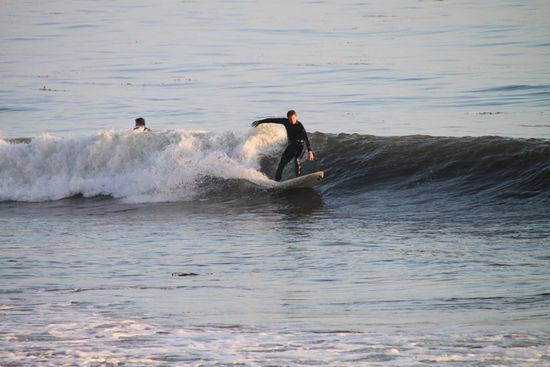 Dieser hier zeigt gerade was er kann.