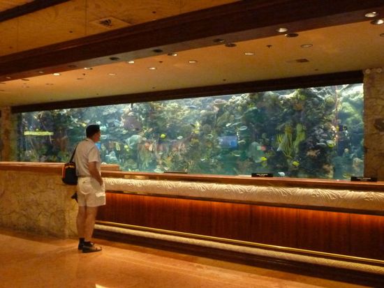 Hier die Rezeption im Mirage, hinter dem Tresen schaut man auf ein gigantomanisches Aquarium mit riesigen Südsee-Fischen.