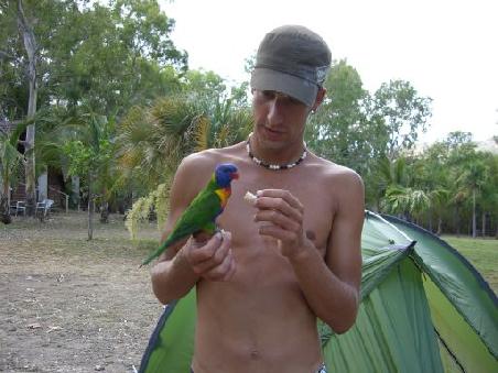 Schoener Vogel -- oder ??