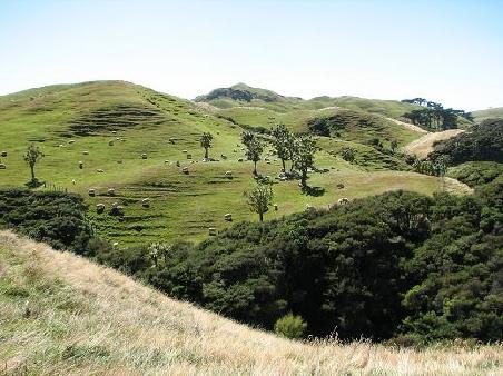 Neuseeland wie im Bilderbuch beim Farewell Spit