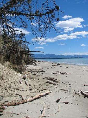 Beach auf Rabbit Island