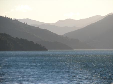 Landschaft im Marlborough Sound