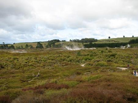 Ein dampfendes Umfeld