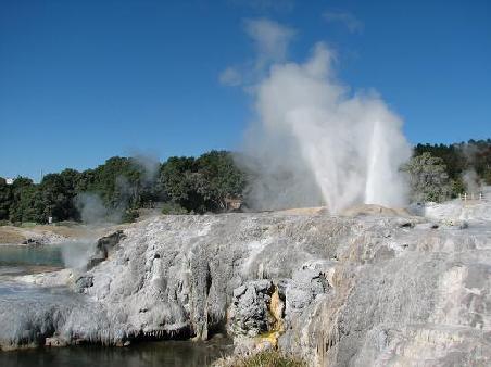 Der Pohutu Geyser