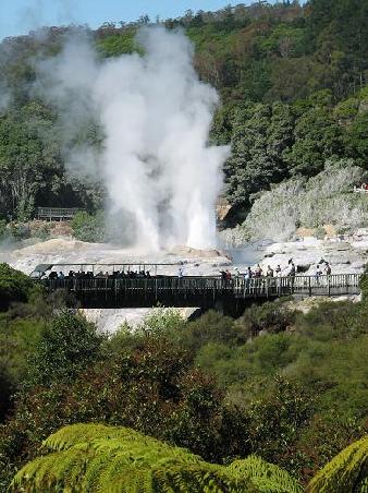 Der Pohutu Geyser von weiter weg