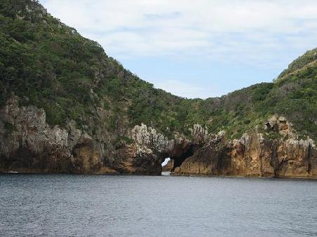 Poor Knights Islands