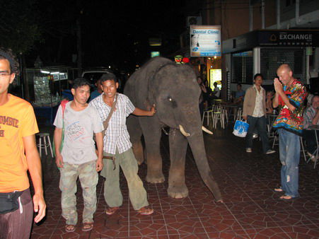 Ein Elefant in der Khaosan Road