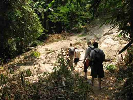 Trekking im Jungel