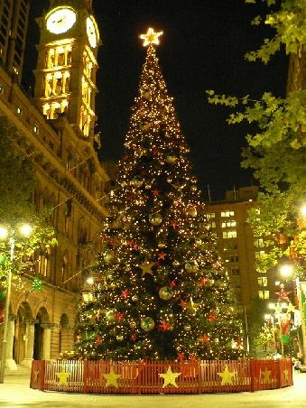 Weihnachtsbaum auf dem Martin Place