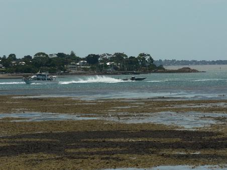 Foto vom Festland aus (San Remo) auf die Kueste von Phillip Island und French Island (auf der hinteren rechten Seite)