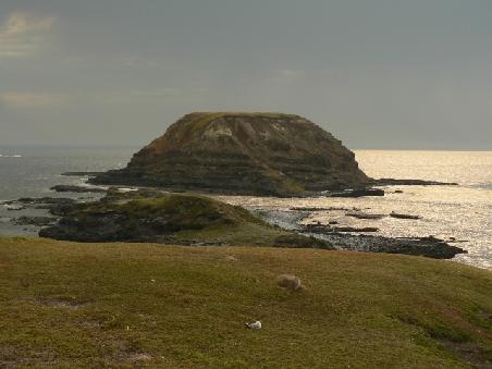 Nationalpark an der Suedwestkueste vor Seal Rocks (mit der groessten Seerobbenpopulation)