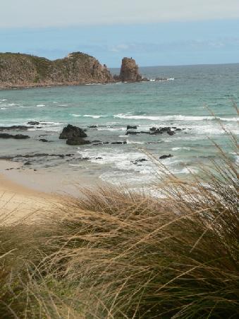die traumhafte Suedostkueste Phillip Islands