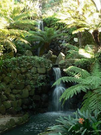 The Grotto