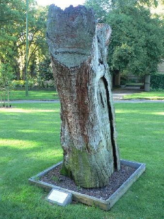 Scarred Tree, eine Erinnerung an Aboriginals
