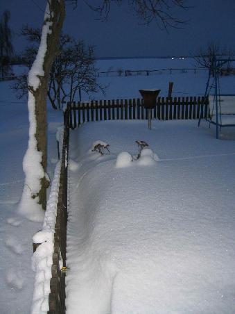 ein verschneiter Garten