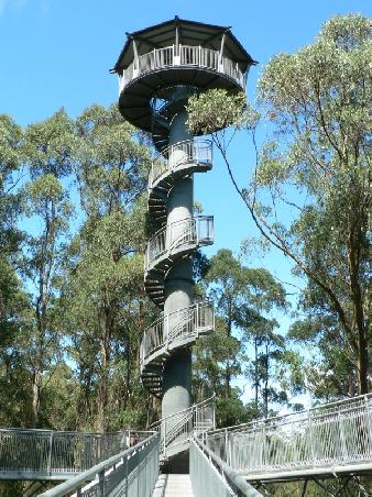 Spiral Tower - ein super Ausblick von ganz da oben auf den Regenwald