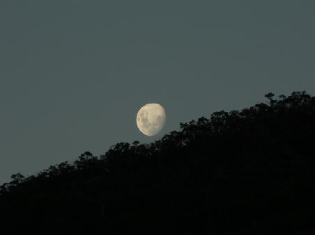 Mondschein ueber den Waeldern von Halls Gap (erkennt ihr den Hasen im Mond?)