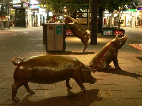 die vier Schweinchen in der Rundle Mall
