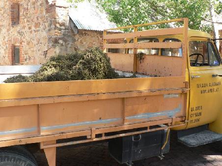 der Abtransport der Ueberbleibsel