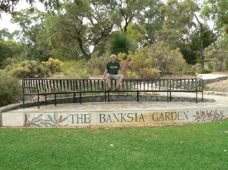 Banksia Garden